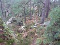 2012-10-11 10-40-15 Rando Fontainebleau- matin FGn